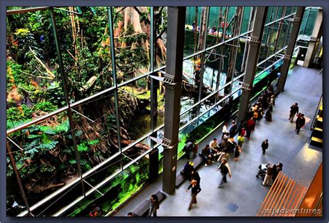 CosmoCaixa, N°1 Barcelona Science Museum